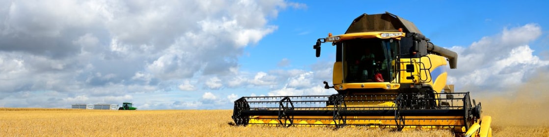 Machine cutting crop in field machinery-and-agriculture
