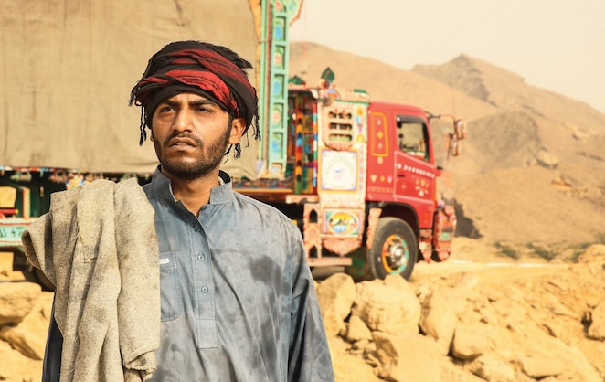 Shell Rimula What Matters Is Inside