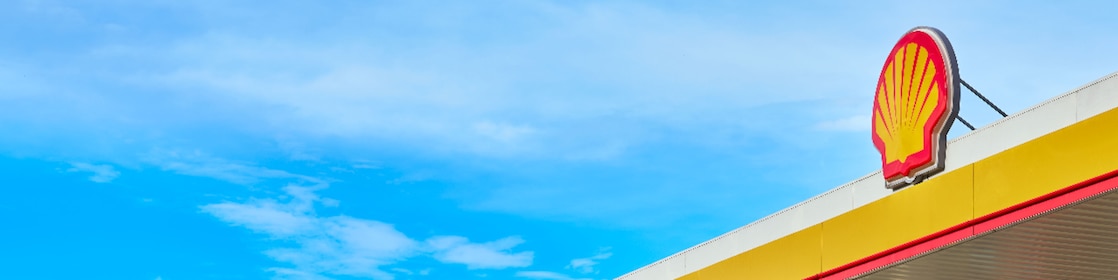 Shell Pecten on the background of the blue sky