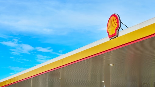 Shell Pecten on the background of the blue sky